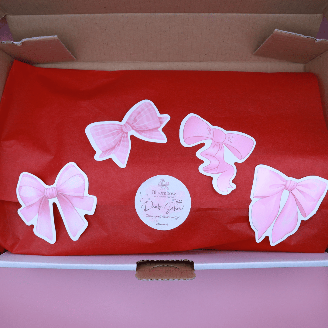 Golden Belle Signature Claw Clip Set packaged with decorative pink bow stickers on red wrapping paper in a cardboard box